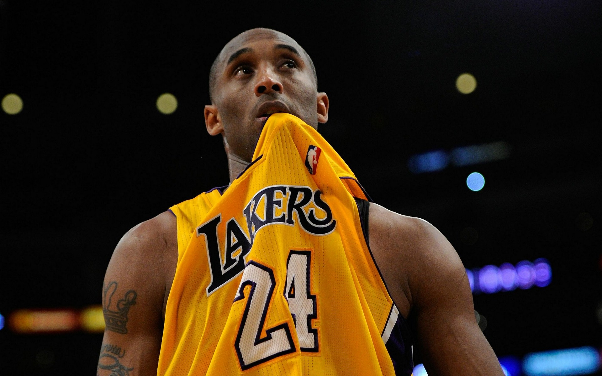 度和超高的 度和超高的