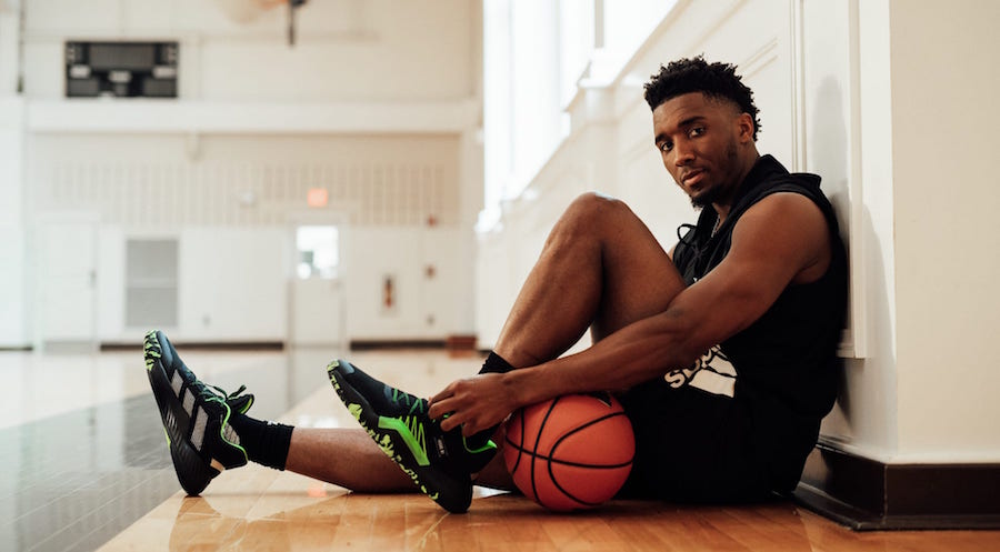 搜索与内容 搜索与内容